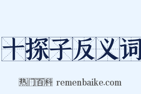 十探子反义词是什么意思的图片
